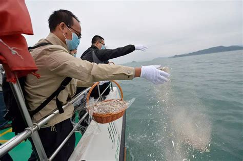 骨灰撒大海意义|骨灰撒向大海有什么意义